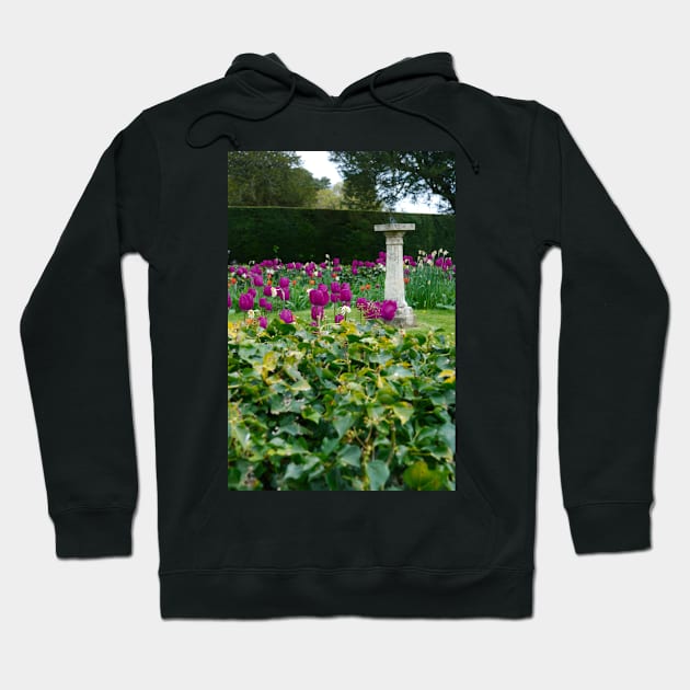 Country garden Hoodie by RichardGibb